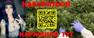 каннабис Ачхой-Мартан
