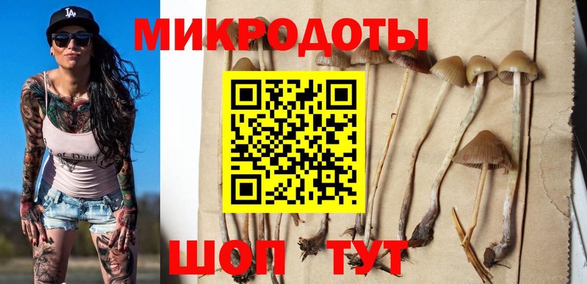 Галлюциногенные грибы Magic Shrooms  Вход с VPN  Кохма  продажа наркотиков  Псилоцибиновые грибы ЛСД 