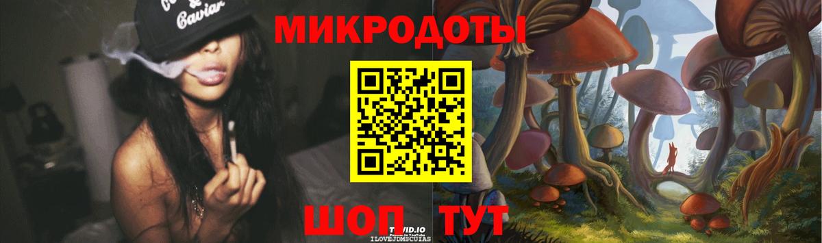 Псилоцибиновые грибы Cubensis Кохма